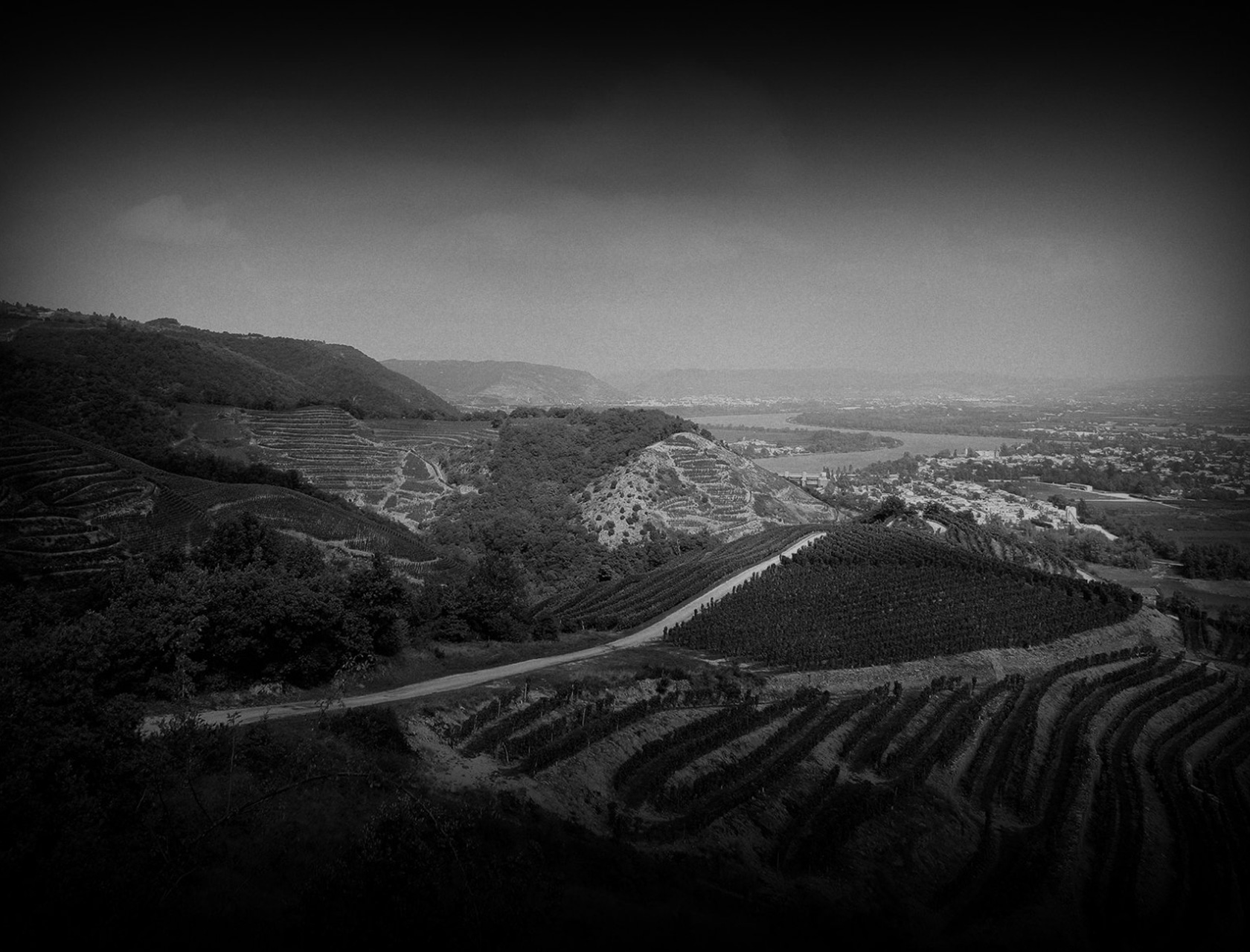 Bourgogne, Suisse, Vallée du Rhône & Languedoc